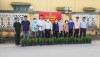 Phường Ninh Sơn: Trồng cây xanh tạo mỹ quan đô thị và thắp sáng đường quê