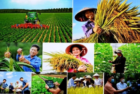 Hướng dẫn tuyên truyền Đại hội đại biểu toàn quốc Hội Nông dân Việt Nam lần thứ VIII, nhiệm kỳ 2023 - 2028