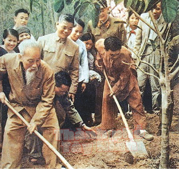 Tây Ninh phát động phong trào “Tết trồng cây đời đời nhớ ơn Bác Hồ” năm 2024